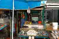Fischmarkt in Puerto Montt Angelmo
