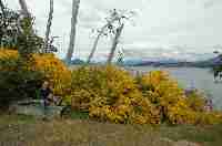 Lago Nahuel Huapi