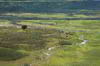 Estuario de Reloncavi bei Ralun